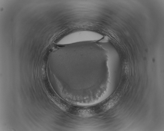 X0000068840408200605261645