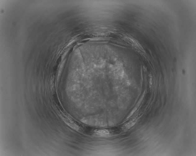 X0000068840409200605261645