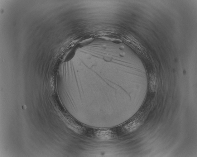 X0000068840410200605261645