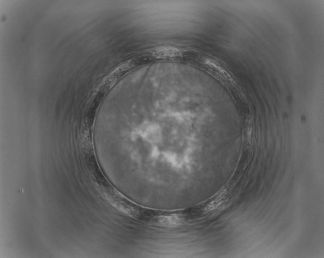 X0000068840411200605261645