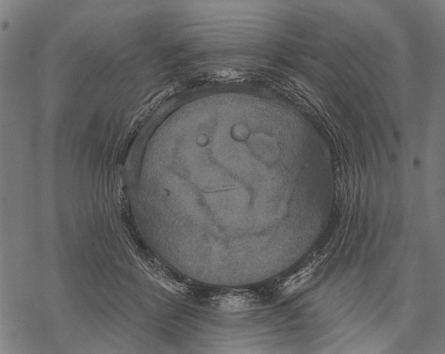 X0000068840412200605261645