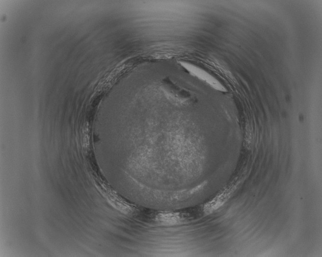 X0000068840413200605261645