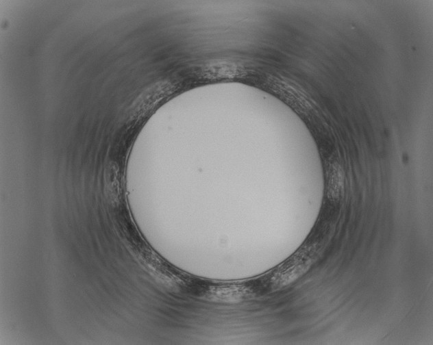 X0000068840414200605261645