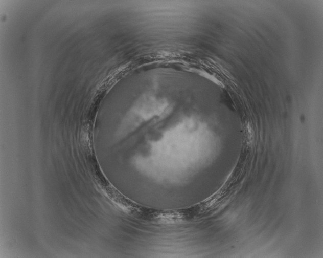 X0000068840415200605261645