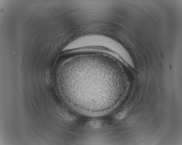 X0000068840416200605261645