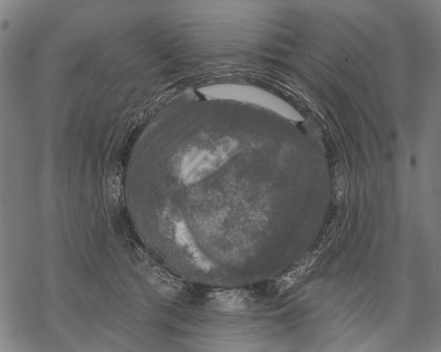 X0000068840417200605261645