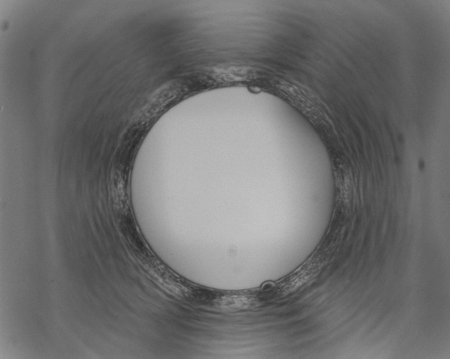 X0000068840418200605261645