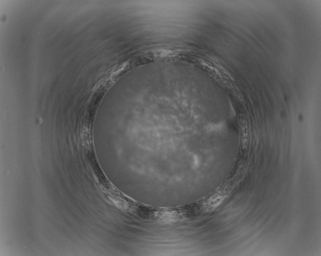 X0000068840419200605261645