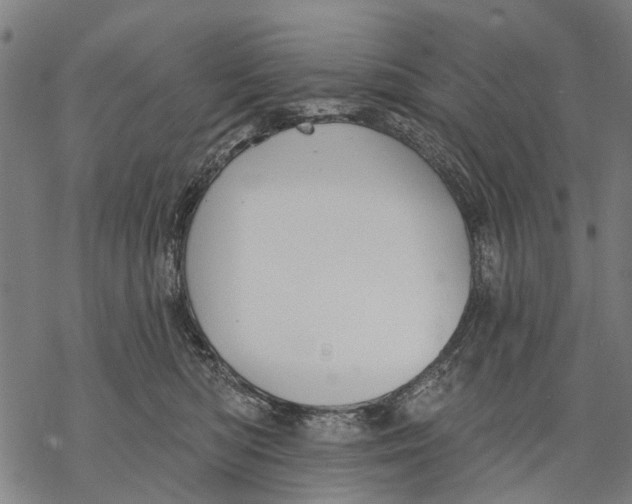 X0000068840422200605261645