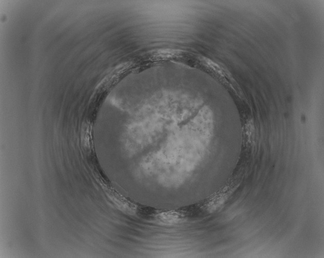 X0000068840423200605261645