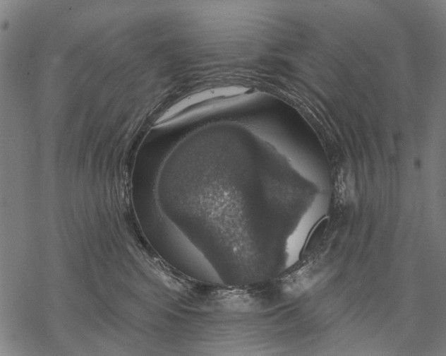 X0000068840424200605261645