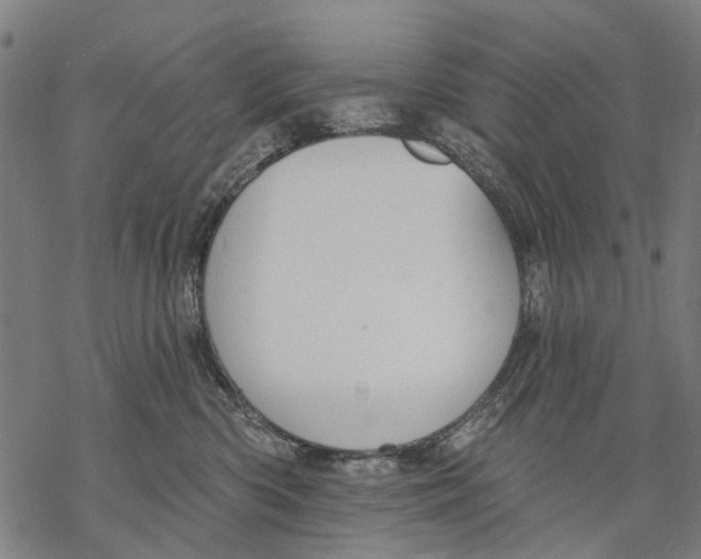 X0000068840426200605261645