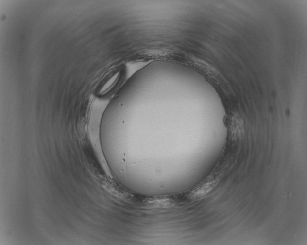 X0000068840428200605261645