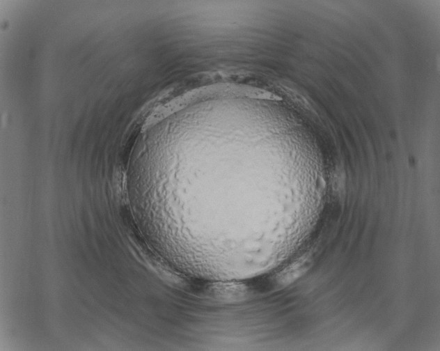 X0000068840429200605261645