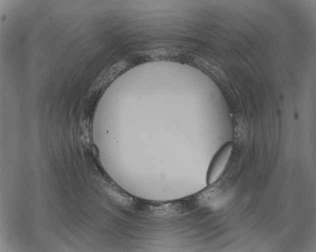 X0000068840430200605261645