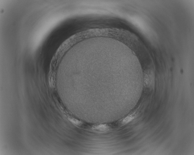 X0000068840431200605261645