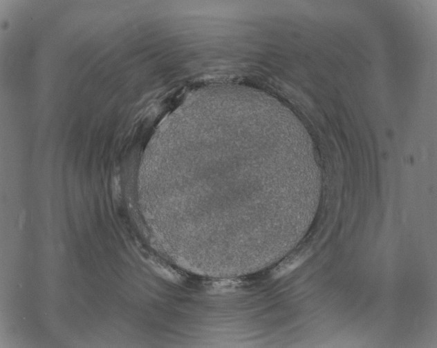 X0000068840432200605261645