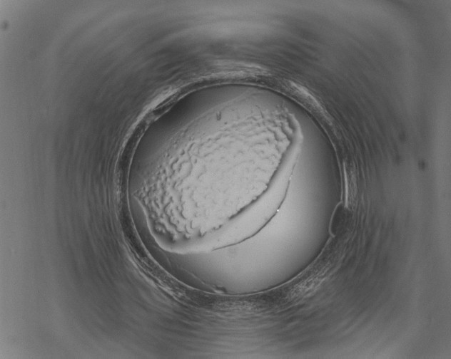 X0000068840435200605261644