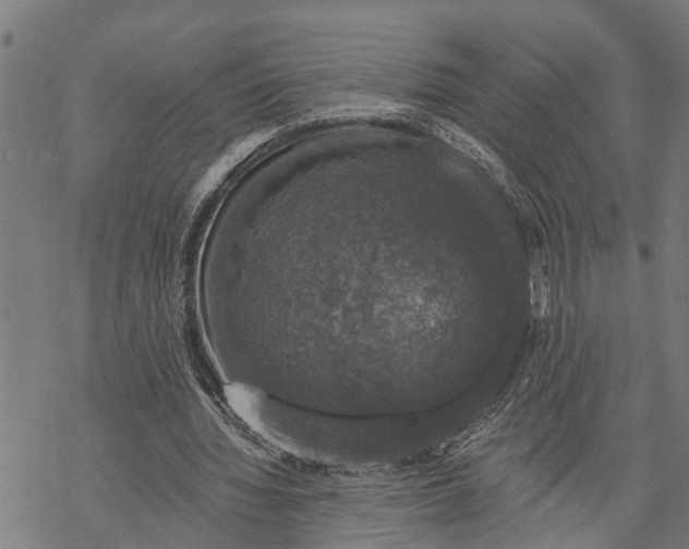 X0000068840436200605261644