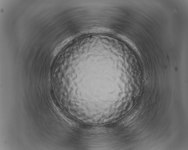 X0000068840437200605261644