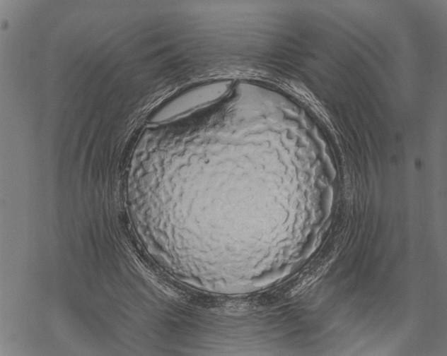 X0000068840441200605261644