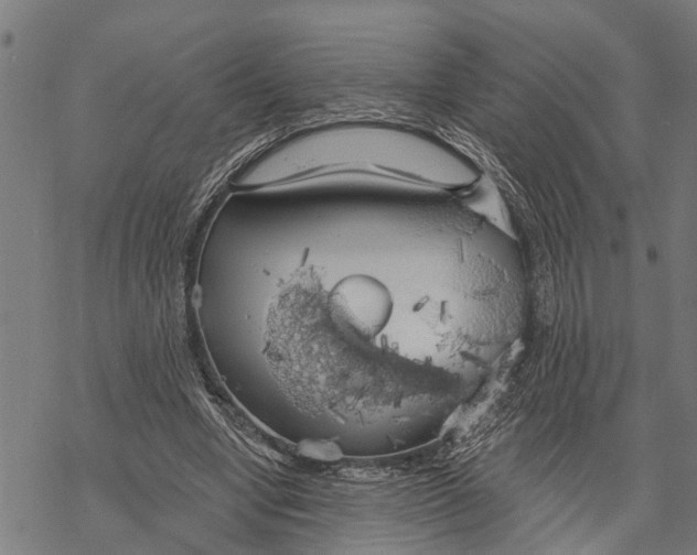 X0000068840442200605261644