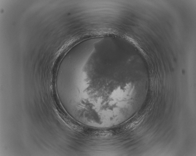 X0000068840443200605261644