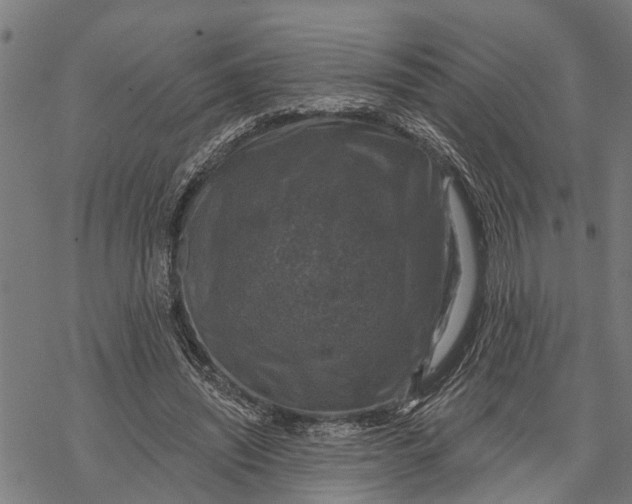 X0000068840444200605261644