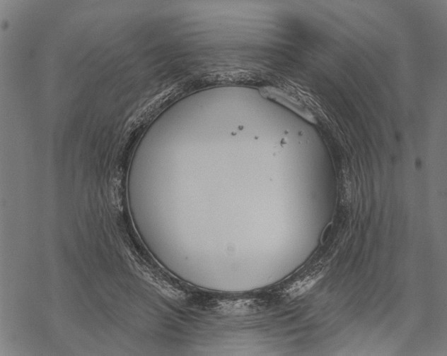 X0000068840450200605261644