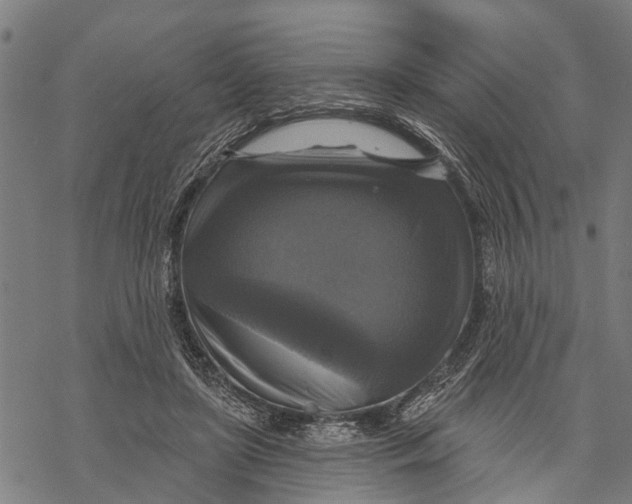 X0000068840451200605261644