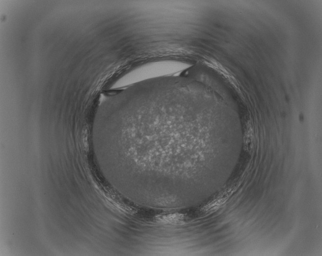 X0000068840452200605261644