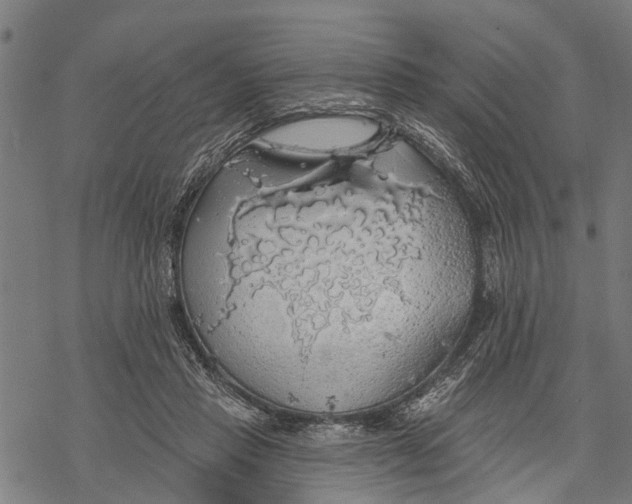 X0000068840453200605261645