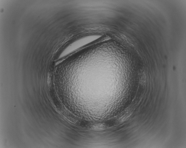 X0000068840456200605261645