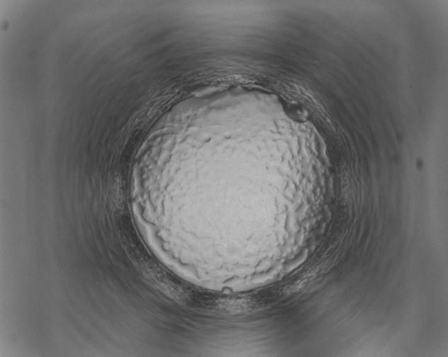 X0000068840457200605261645