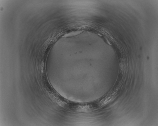 X0000068840458200605261645