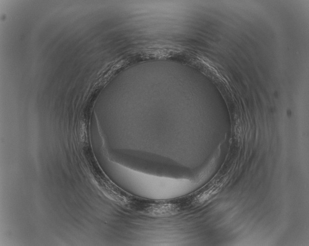 X0000068840459200605261645