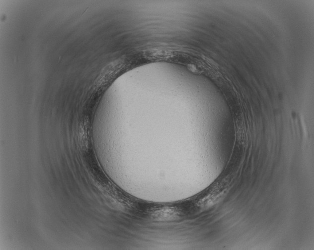 X0000068840460200605261645