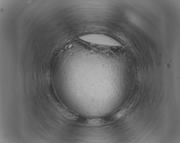 X0000068840461200605261645