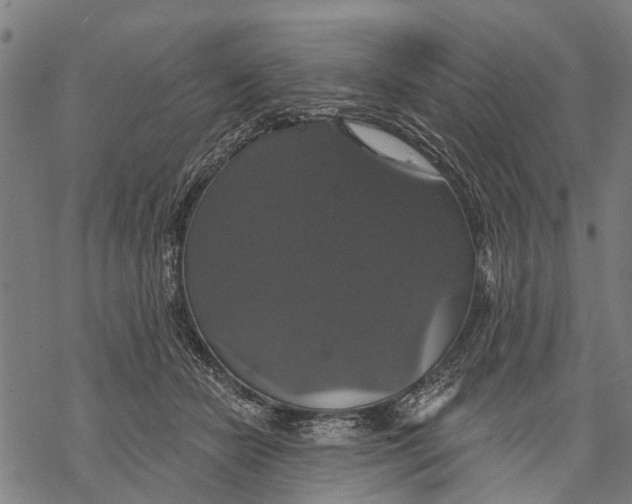 X0000068840462200605261645