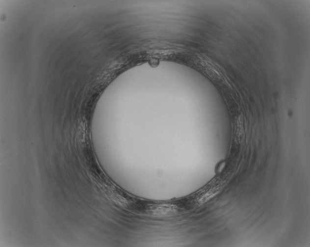 X0000068840463200605261645