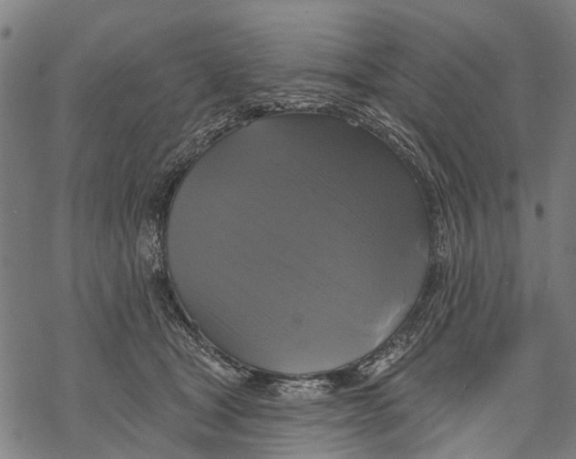 X0000068840465200605261645