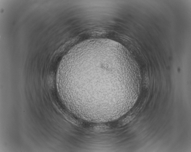 X0000068840468200605261645