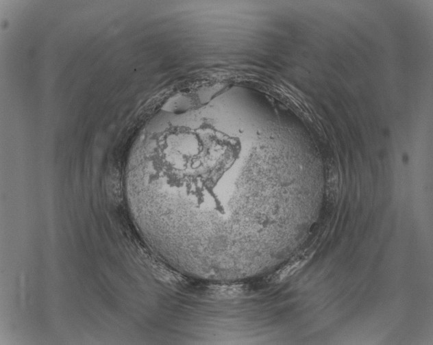 X0000068840469200605261645