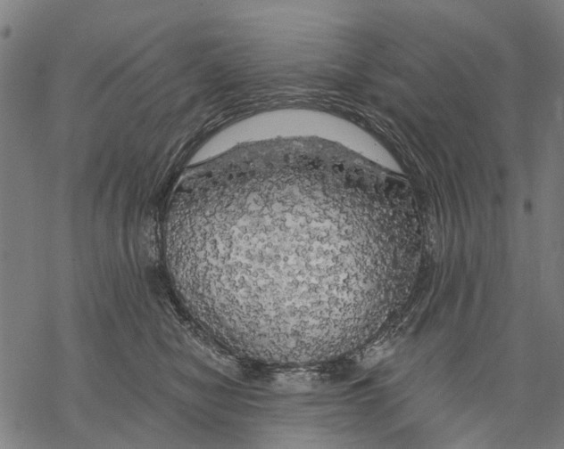 X0000068840470200605261645