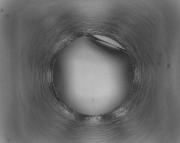 X0000068840474200605261645