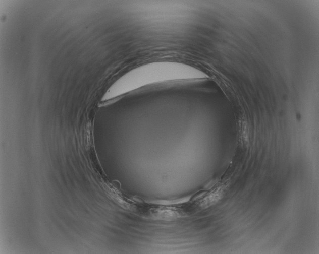 X0000068840475200605261645