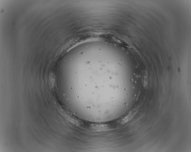 X0000068840476200605261645