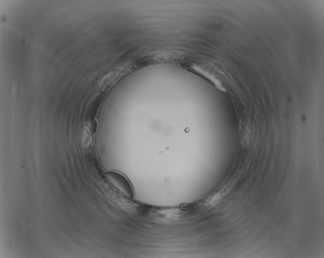 X0000068840478200605261645