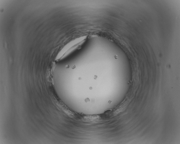 X0000068840480200605261645