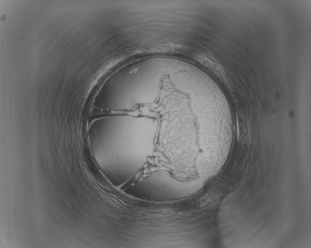 X0000068840483200605261644